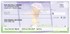 Precious Moments® Checks Image 2
